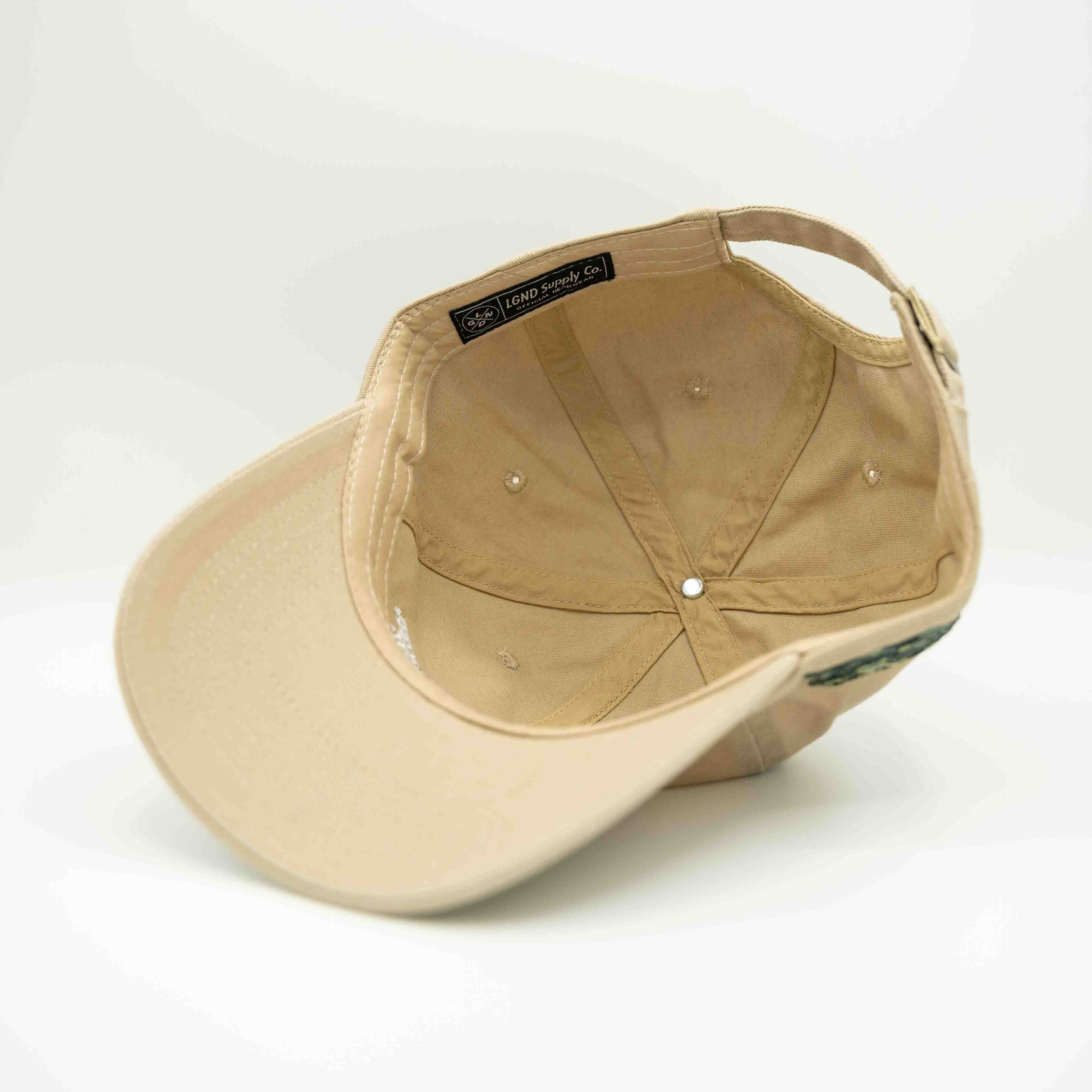 Printed Money Dad Hat