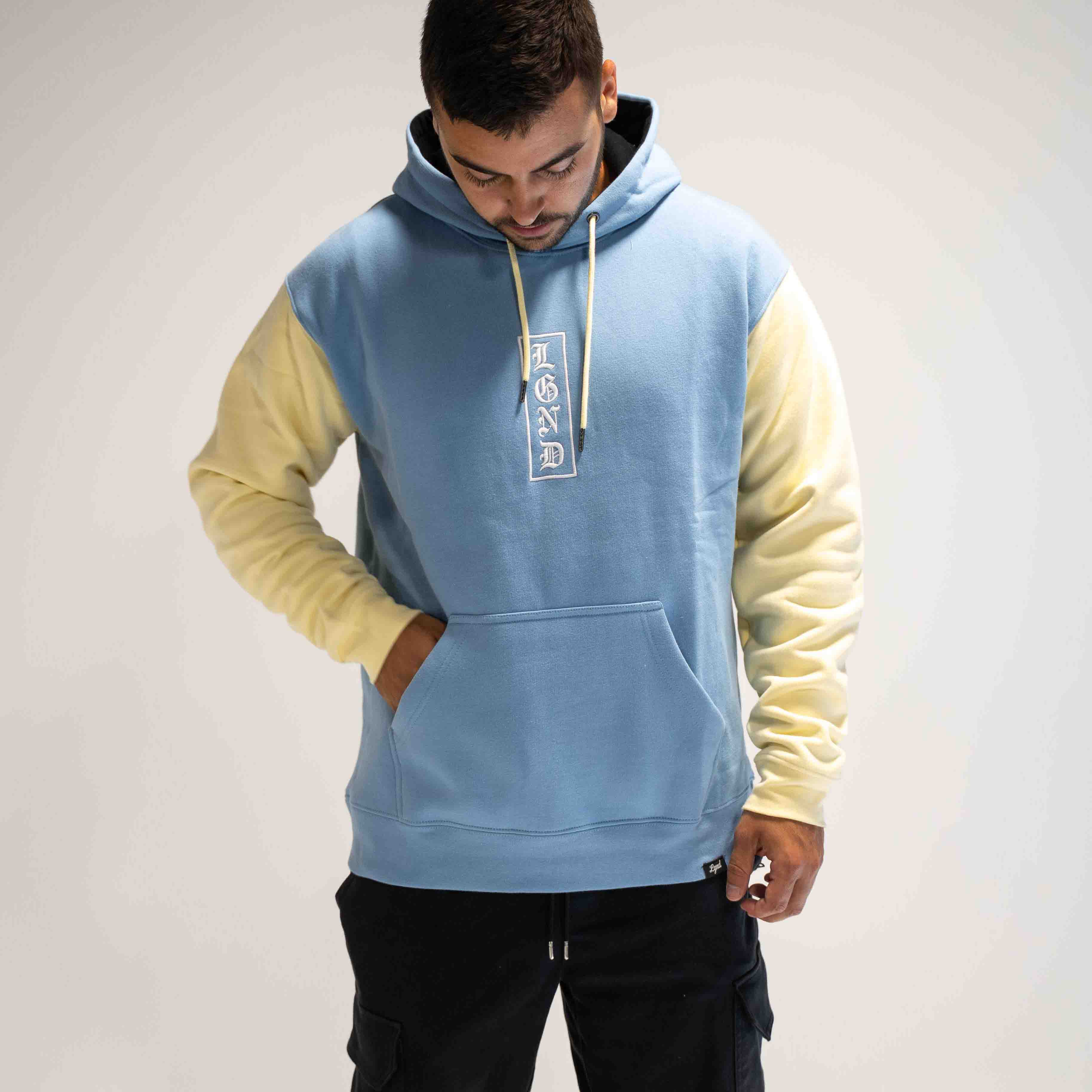Blue Cream Embroidered Hoodie